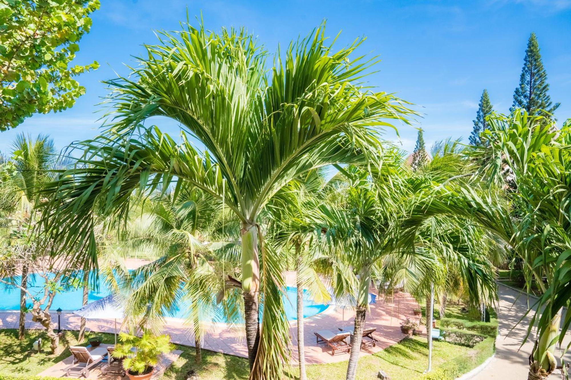 Lotus Vung Tau Resort & Spa Экстерьер фото